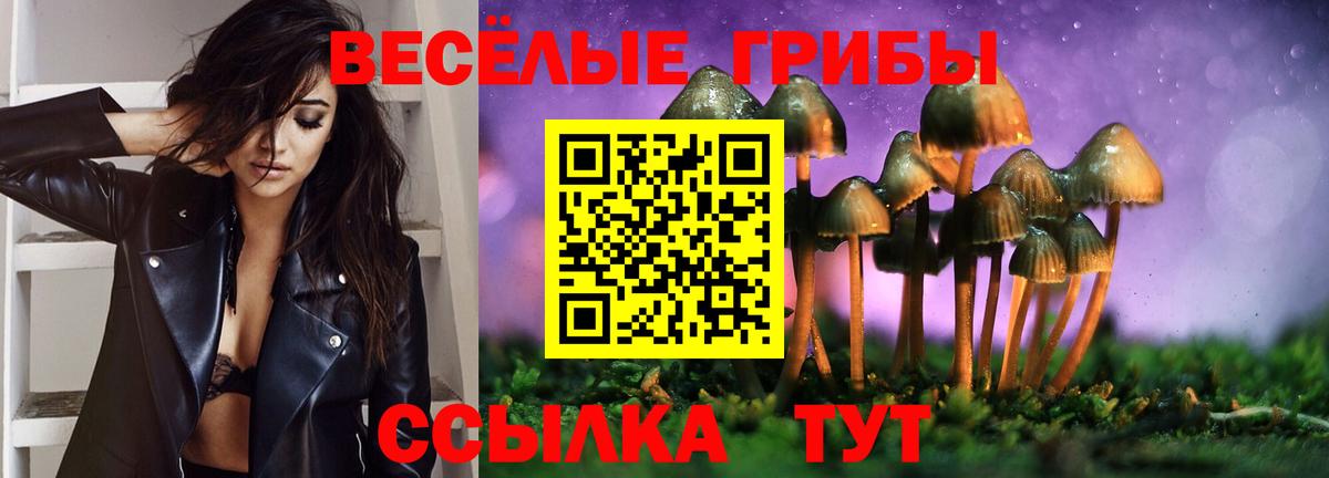 Лабинск  Псилоцибиновые грибы MAGIC MUSHROOMS  Вход с VPN 